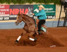 Arno Honstetter Arizona Reining Horse Trainer