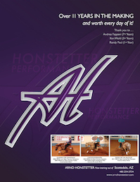 Arno Honstetter Main Ad